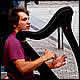 Joueur de harpe sur Quay Street